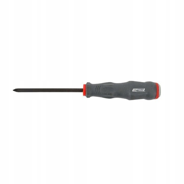 Awtools kruvikeeraja PH2x100 mm AW36931 цена и информация | Käsitööriistad | kaup24.ee