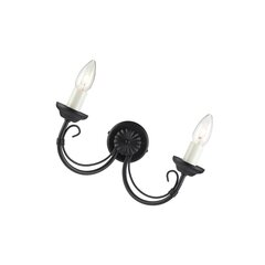 Настенный светильник Elstead Lighting Chartwell CH2-BLACK цена и информация | Настенный светильник Конусы | kaup24.ee