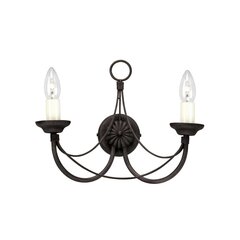 Seinavalgusti Elstead Lighting Carisbrooke CB2-BLACK hind ja info | Seinavalgustid | kaup24.ee