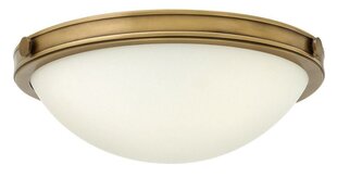 Laevalgusti Elstead Lighting Collier HK-COLLIER-F-S цена и информация | Потолочные светильники | kaup24.ee