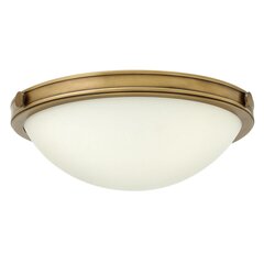 Потолочный светильник Elstead Lighting Collier HK-COLLIER-F-S цена и информация | Потолочные светильники | kaup24.ee