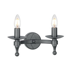 Настенный светильник Elstead Lighting Warwick WR2-GRAPHITE цена и информация | Настенные светильники | kaup24.ee