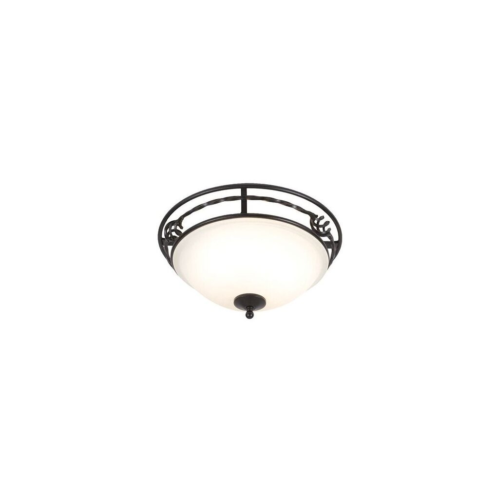 Laevalgusti Elstead Lighting Pembroke PB-F-A-BLACK цена и информация | Laelambid | kaup24.ee