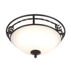 Потолочный светильник Elstead Lighting Pembroke PB-F-A-BLACK цена и информация | Потолочные светильники | kaup24.ee