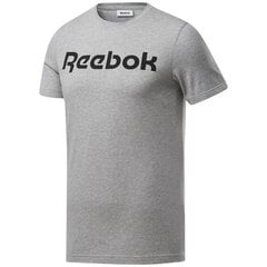 T-SHIRT REEBOK GS REE LINEAR TEE FP9162 цена и информация | Meeste T-särgid | kaup24.ee