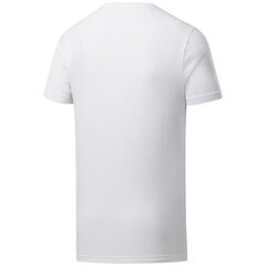 T-SHIRT REEBOK GS REE LINEAR TEE FP9162 цена и информация | Мужские футболки | kaup24.ee