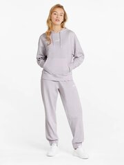 PUMA Power Colorblock Stardust Hoodie Tr цена и информация | Женские толстовки | kaup24.ee