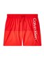 Ujumispüksid poistele Calvin Klein, punane hind ja info | Poiste ujumispüksid | kaup24.ee