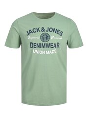 Детская футболка Jack & Jones 12213081*02, мятная, 5715364686580 цена и информация | Рубашки для мальчиков | kaup24.ee