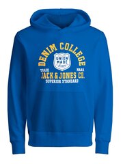 Детская толстовка Jack & Jones 12212287*01, ультрамарин 5715364732867 цена и информация | Свитеры, жилетки, пиджаки для мальчиков | kaup24.ee