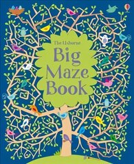 Big Maze Book hind ja info | Noortekirjandus | kaup24.ee