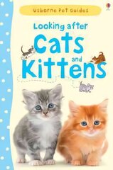Looking after Cats and Kittens hind ja info | Noortekirjandus | kaup24.ee