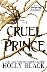 Cruel Prince цена и информация | Книги для подростков и молодежи | kaup24.ee