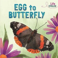 Life Cycles: Egg to Butterfly цена и информация | Книги для подростков и молодежи | kaup24.ee