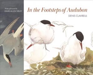 In the Footsteps of Audubon hind ja info | Elulooraamatud, biograafiad, memuaarid | kaup24.ee