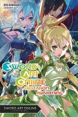 Sword Art Online, Vol. 17 (light novel): Alicization Awakening hind ja info | Noortekirjandus | kaup24.ee