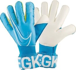 Вратарские перчатки Nike GS3381 486, синие цена и информация | Перчатки вратаря | kaup24.ee