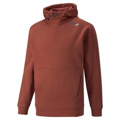 Meeste dressipluus Puma 84743623 цена и информация | Мужские толстовки | kaup24.ee