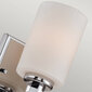 Seinavalgusti Elstead Lighting Taylor QZ-TAYLOR1S-BATH цена и информация | Seinavalgustid | kaup24.ee