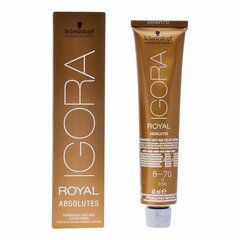 Антивозрастной красящий гель Igora Absolutes N6-70 Schwarzkopf (60 ml) цена и информация | Краска для волос | kaup24.ee