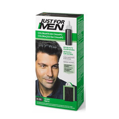 Tooniv šampoon Just for men natural black shampoo, 30ml hind ja info | Šampoonid | kaup24.ee