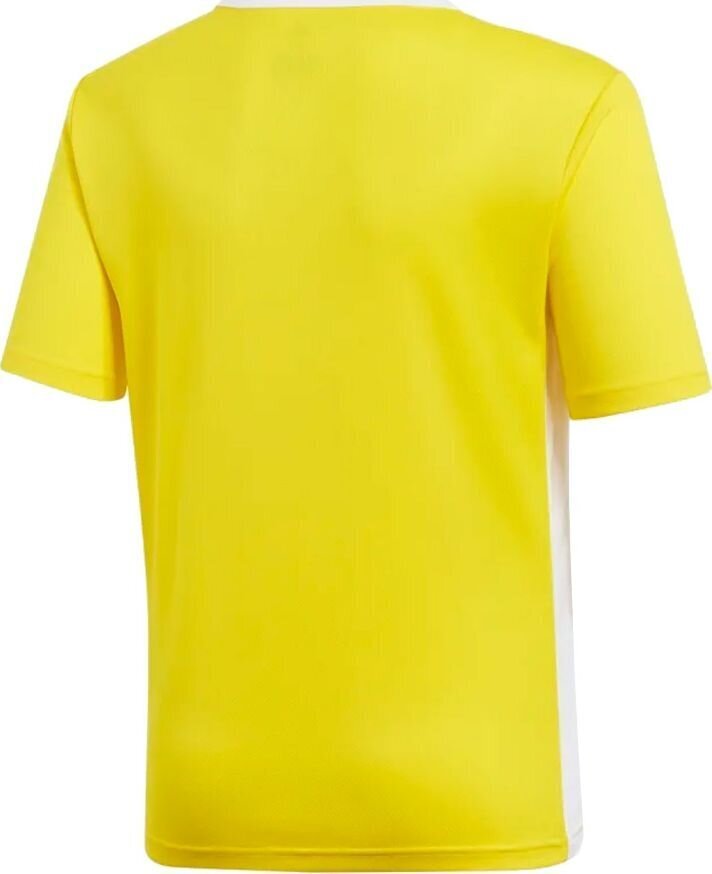 T-särk Adidas TeamWear, kollane hind ja info | Jalgpalli varustus ja riided | kaup24.ee