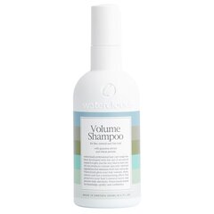 Volüümi andev šampoon guaraana ja bambusega Waterclouds Volume Shampoo, 250ml hind ja info | Šampoonid | kaup24.ee