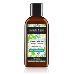 Šampoon Nuggela & Sulé 100% Green Shampoo Suitable Vegans, 100ml цена и информация | Шампуни | kaup24.ee
