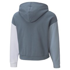 Джемпер для мальчиков Puma, синий цена и информация | Свитеры, жилетки, пиджаки для мальчиков | kaup24.ee