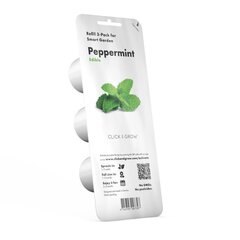 Click & Grow Smart Garden refill укроп 3 шт цена и информация | Проращиватели, лампы для растений | kaup24.ee