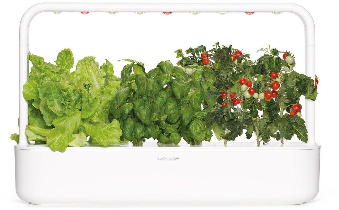 Click & Grow Smart Garden 9 hind ja info | Nutipotid ja taimelambid | kaup24.ee