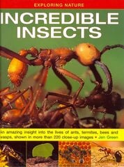 Exploring Nature: Incredible Insects: An Amazing Insight into the Lives of Ants, Termites, Bees and Wasps, Shown   in More Than 220 Close-up Images цена и информация | Книги для подростков и молодежи | kaup24.ee