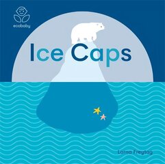 Eco Baby: Ice Caps hind ja info | Väikelaste raamatud | kaup24.ee
