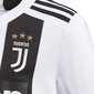 T-särk Adidas Juve, valge цена и информация | Jalgpalli varustus ja riided | kaup24.ee