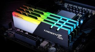 G.Skill Trident Z Neo, 256GB (8x32GB), DDR4, 3200MHz, CL16 (F4-3200C16Q2-256GTZN) hind ja info | Operatiivmälu (RAM) | kaup24.ee