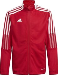 Джемпер Adidas Tiro 21, красный цена и информация | Adidas Спорт, досуг, туризм | kaup24.ee