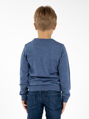 Poiste kampsun Kimko, sinine цена и информация | Свитеры, жилетки, пиджаки для мальчиков | kaup24.ee