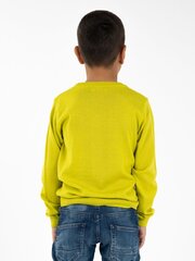 Джемпер для мальчика KIMKO Wasabi цена и информация | Свитеры, жилетки, пиджаки для мальчиков | kaup24.ee