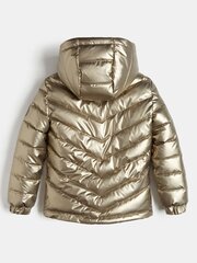 Куртка для мальчиков GUESS JEANS Golden Crown, золотая цена и информация | Куртки для мальчиков | kaup24.ee