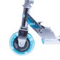 Tõukeratas Worker Snow Spider Pro 2in1 hind ja info | Tõukerattad | kaup24.ee