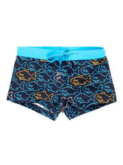 Ujumispüksid poistele Boboli Sky Blue hind ja info | Poiste ujumispüksid | kaup24.ee