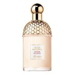 Guerlain Aqua Allegoria Ginger Piccante EDT unisex 75 мл цена и информация | Женские духи | kaup24.ee