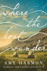 Where the Lost Wander: A Novel цена и информация | Фантастика, фэнтези | kaup24.ee