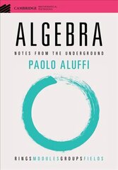 Algebra: Notes from the Underground цена и информация | Книги по экономике | kaup24.ee