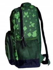 Koolikott/seljakott Minecraft цена и информация | Школьные рюкзаки, спортивные сумки | kaup24.ee