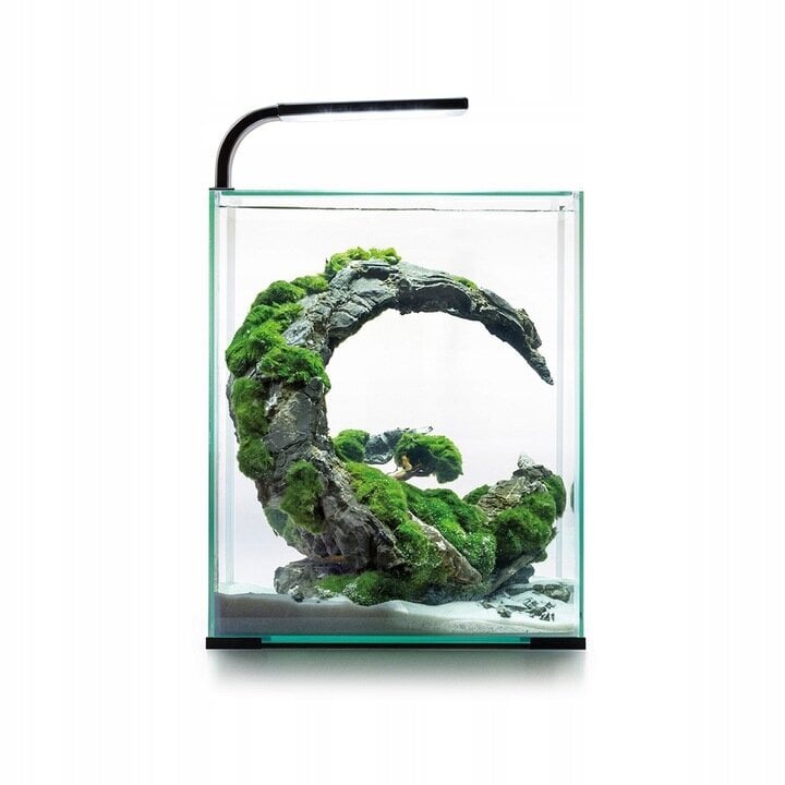 Täielik akvaariumikomplekt, mis loob ideaalsed tingimused taimedele, krevettidele ja väikestele kaladele hind ja info | Akvaariumid ja seadmed | kaup24.ee