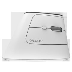 Wireless Ergonomic Mouse Delux MV6 DB BT+2.4G (white) hind ja info | Hiired | kaup24.ee