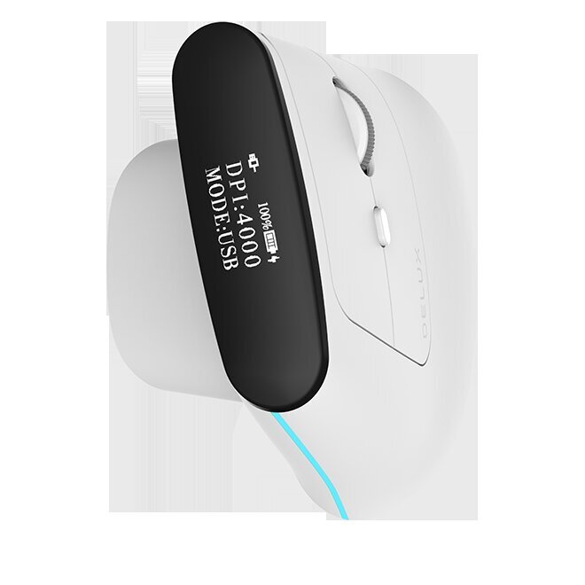 Wireless Ergonomic Mouse Delux MV6 DB BT+2.4G (white) цена и информация | Hiired | kaup24.ee