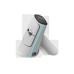 Wireless Ergonomic Mouse Delux MV6 DB BT+2.4G (white) цена и информация | Мыши | kaup24.ee