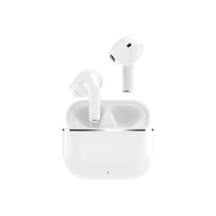 Dudao U15H TWS Bluetooth 5.1 wireless headphones white (White) цена и информация | Наушники | kaup24.ee